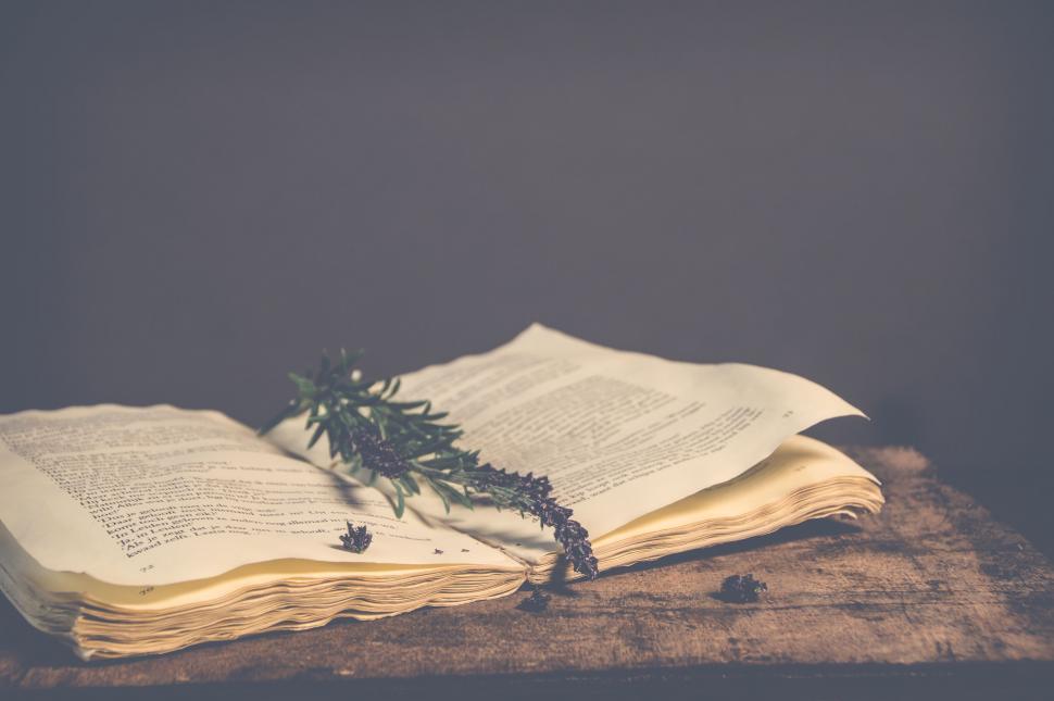 Free Image of Vintage book with lavender on wooden table 