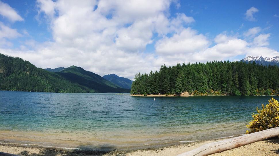 Free Image of Calm lake with forested mountains view 
