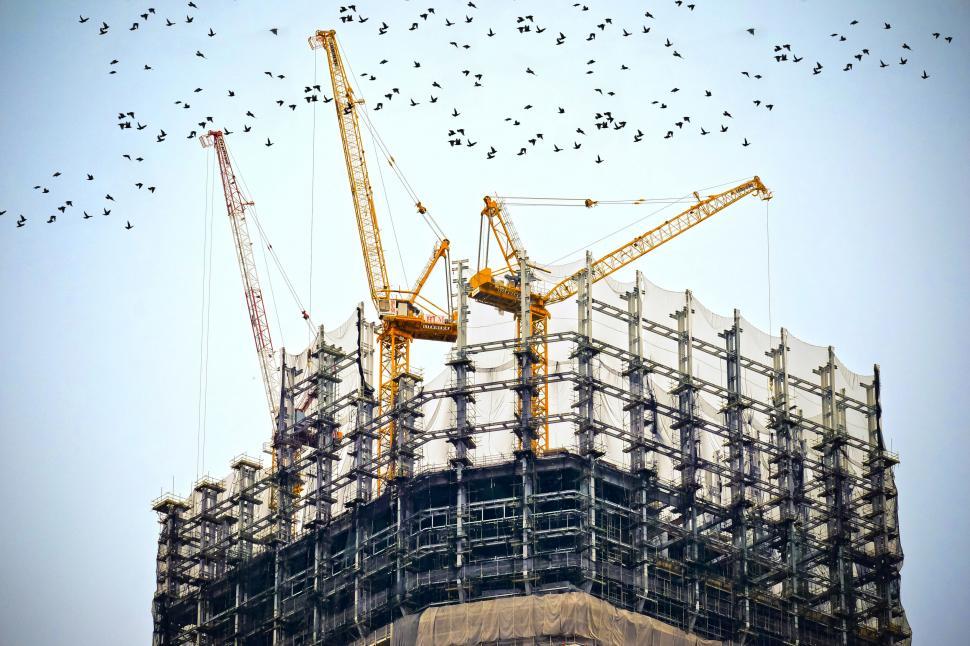 Free Image of Birds flying over construction site 