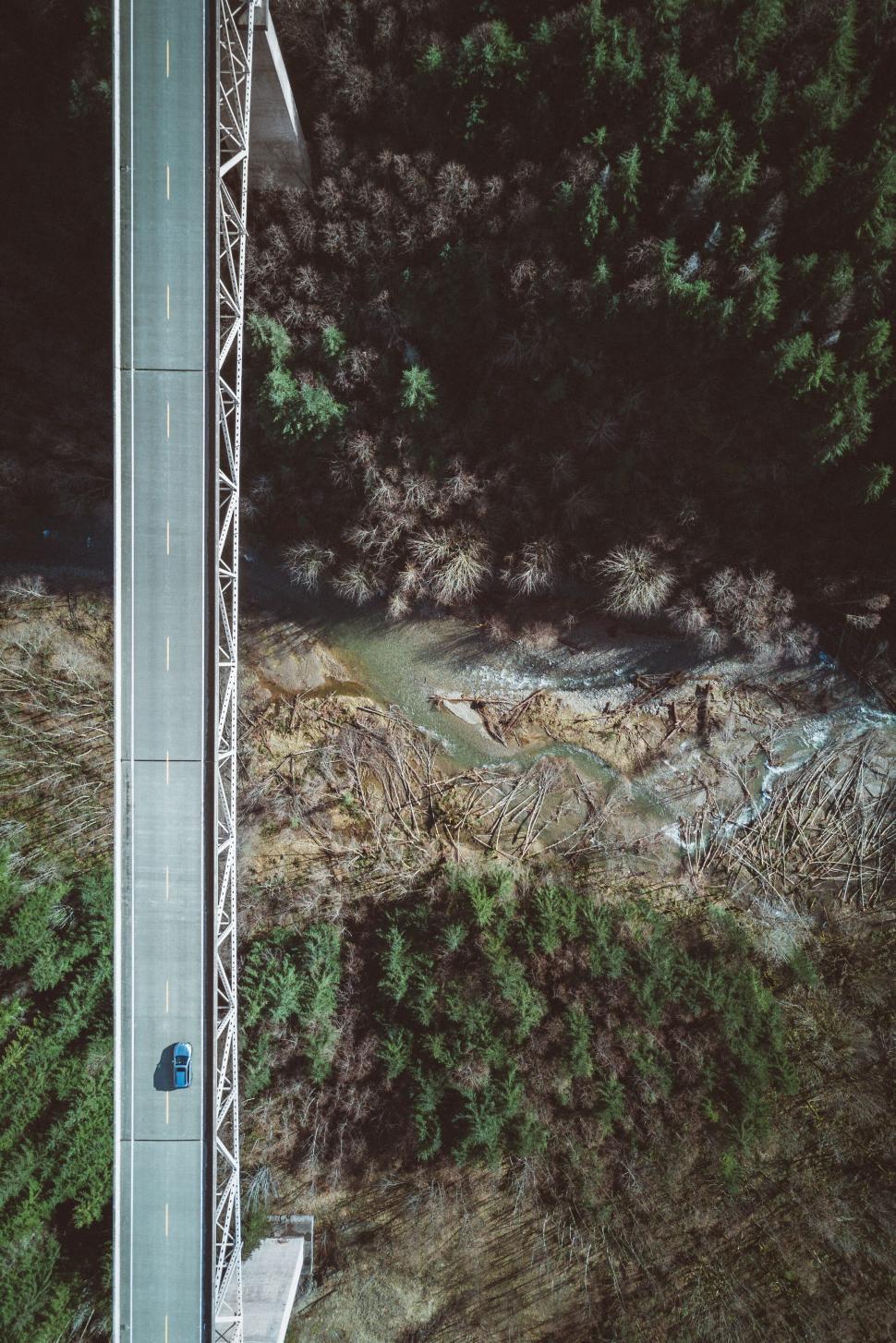 Free Image of Aerial view of road curving through forest 