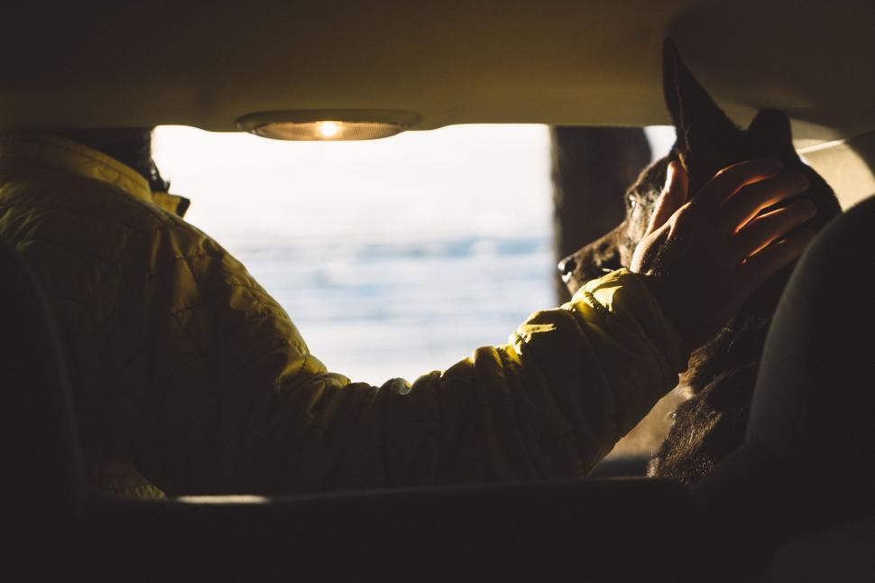 Free Image of Driver holding steering wheel at sunset 