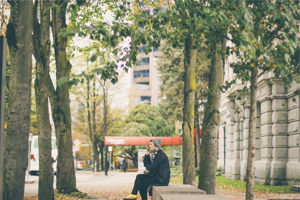 Free Image of Person reading on a bench between autumn trees 