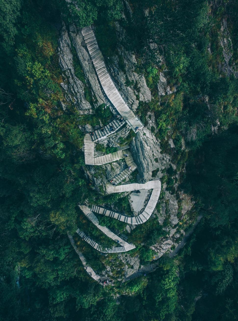Free Image of Zigzag wooden stairs in forested area 