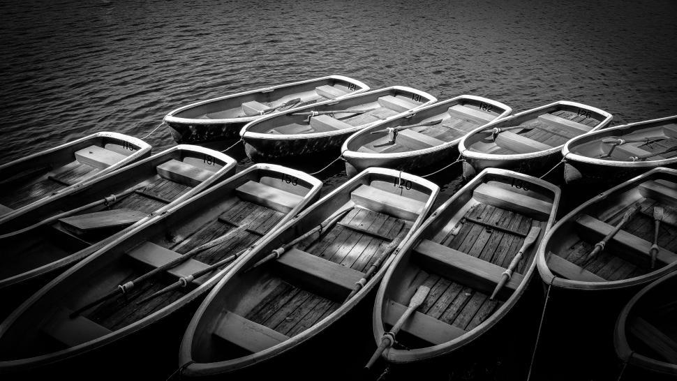 Free Image of Monochrome rowboats tied at the dock 