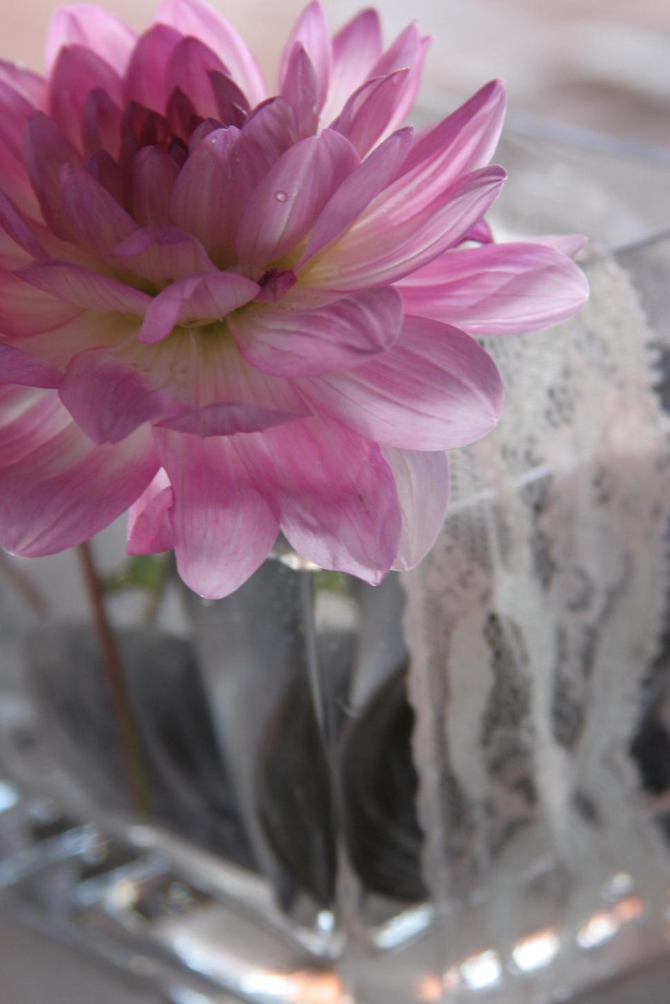 Bukiety z dostawą – wyślij kwiaty na specjalne okazje