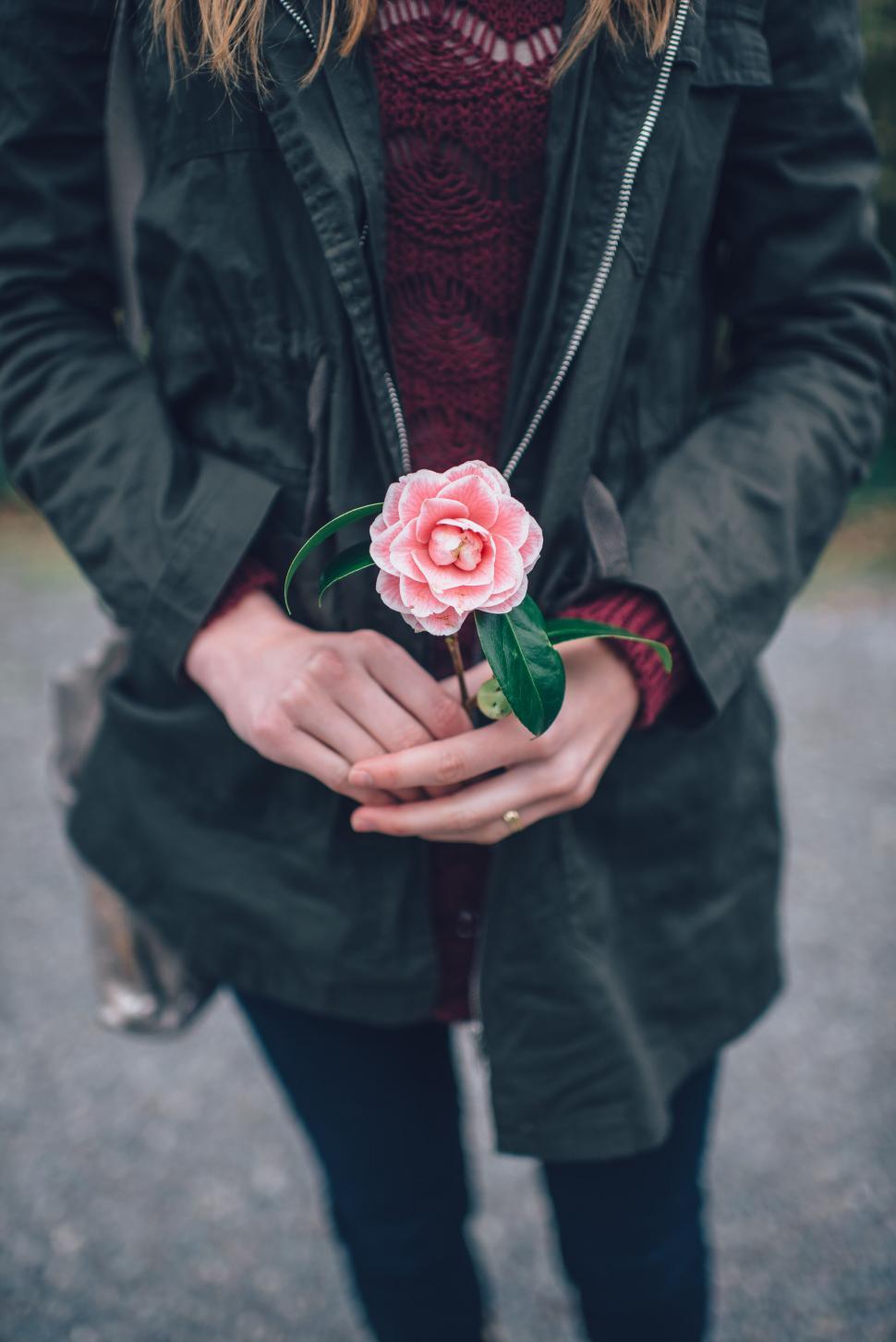 Free Image of Woman holding camellia flower gently 