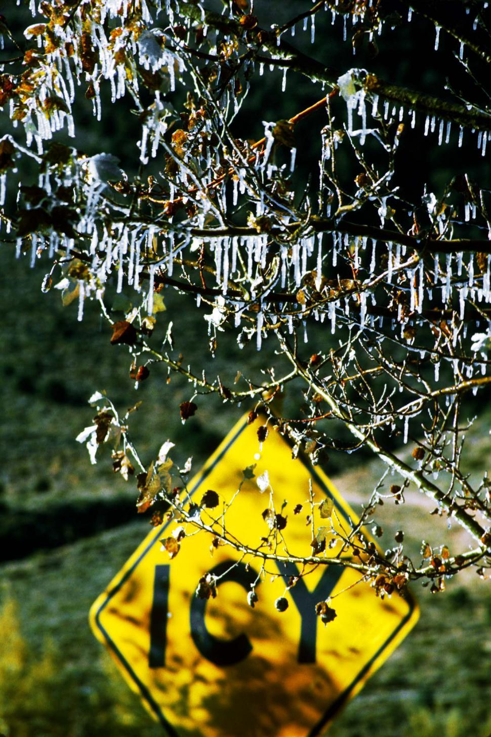 Free Stock Photo of Icy Roads sign with holes and frozen tree ...