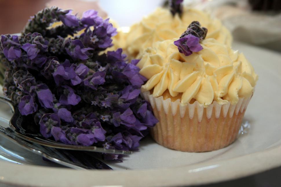 Free Image of Cupcakes 