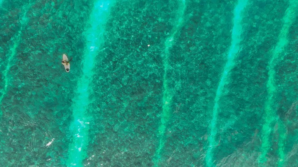 Free Image of Paddleboarder on a tranquil green sea 