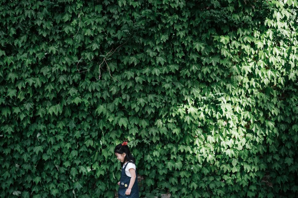 Free Image of Child by a lush green ivy wall 