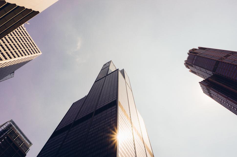 Free Image of Upward view of modern skyscrapers and sunlight 