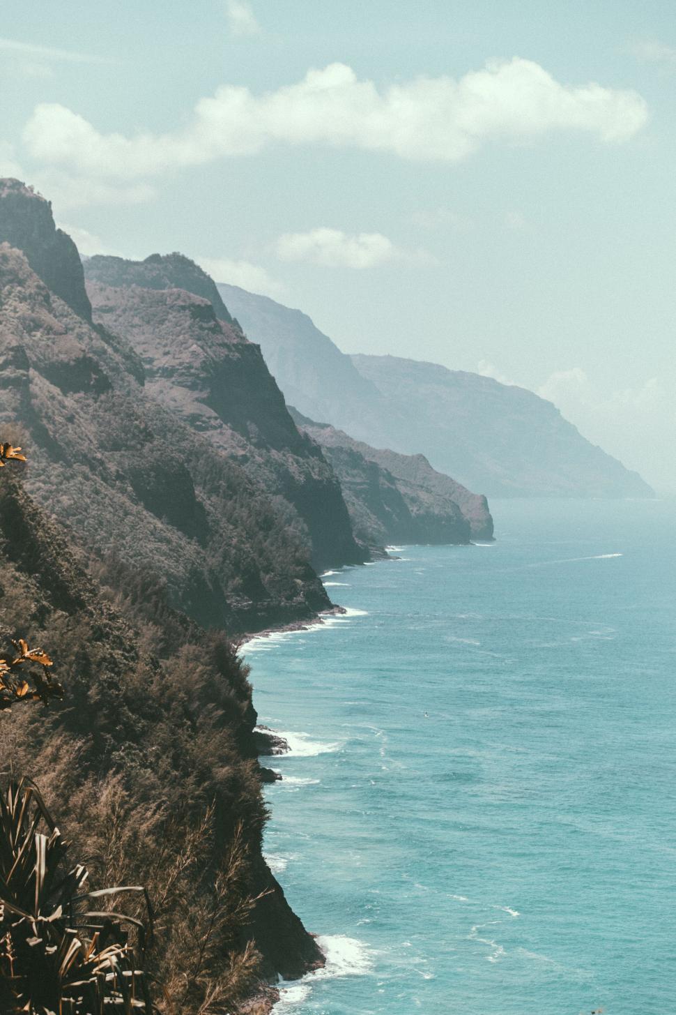 Free Stock Photo of Cliffside ocean view with flora | Download Free ...