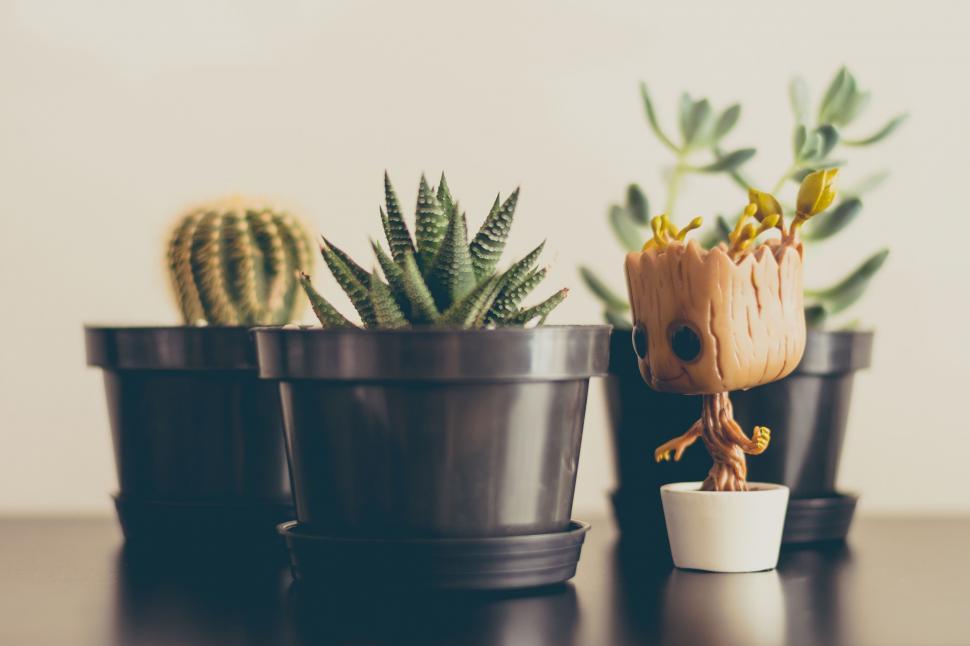 Free Image of Cute plant figures on a shelf 
