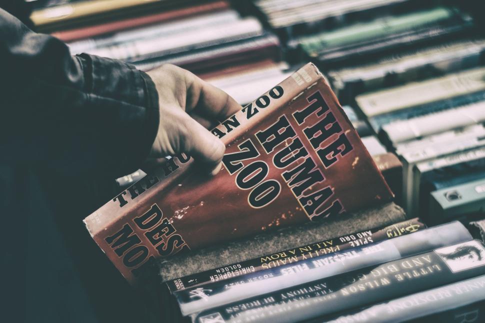 Free Image of Hand picking a book from shelf 