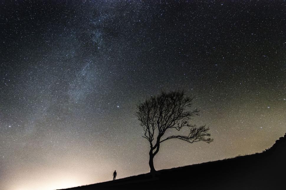 Free Image of Silhouetted tree and person under starry sky 