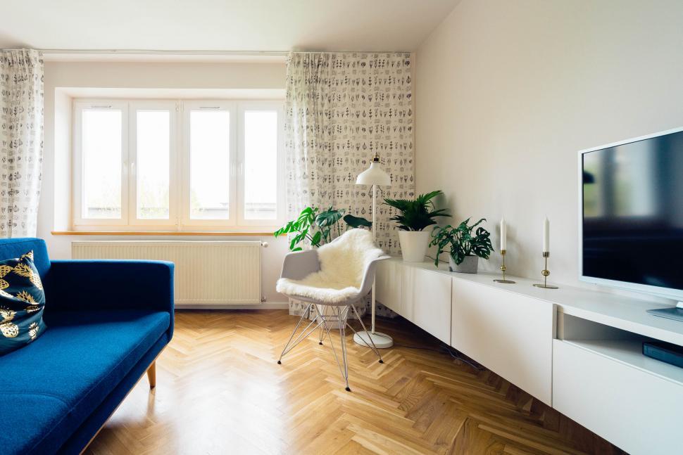 Free Image of Modern living room with stylish furniture 