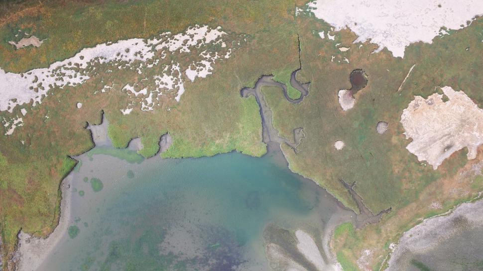 Free Image of Aerial shot of a colorful wetland area 
