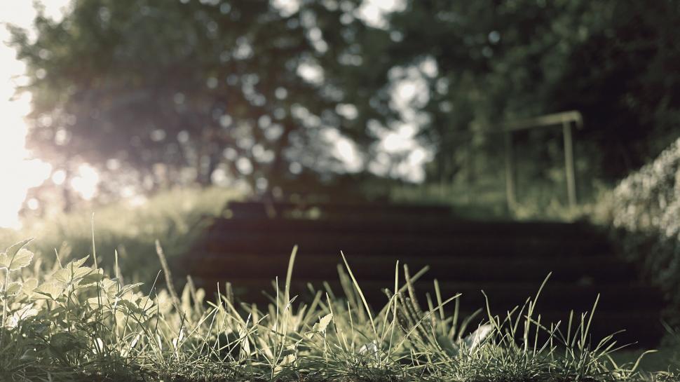 Free Stock Photo of Nature and forgotten wooden bench at sunset ...