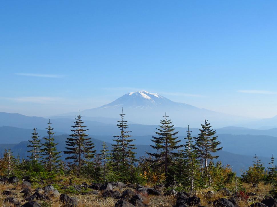 Free Image of Landscape with mountain view and forest 