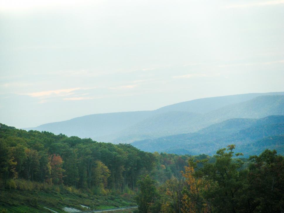 Free Image of Scenic view of hills and forest 