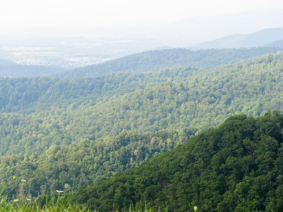 Free Image of Lush mountain range with foggy haze 