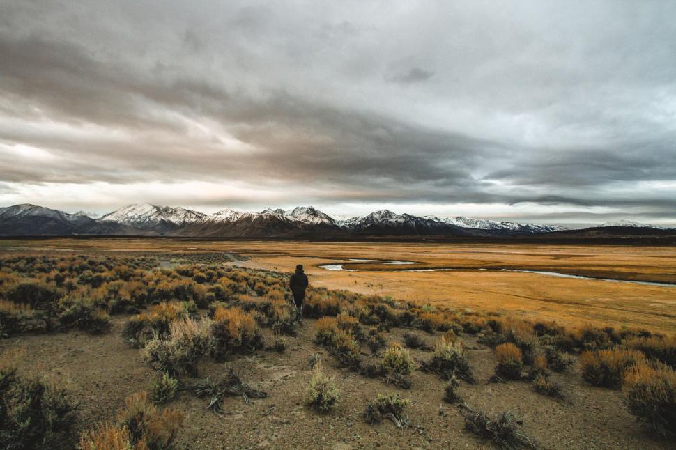 Free Image of Person in a vast desert landscape 