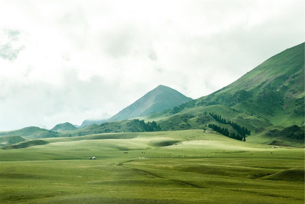 Free Image of Rolling green hills with a distant peak 