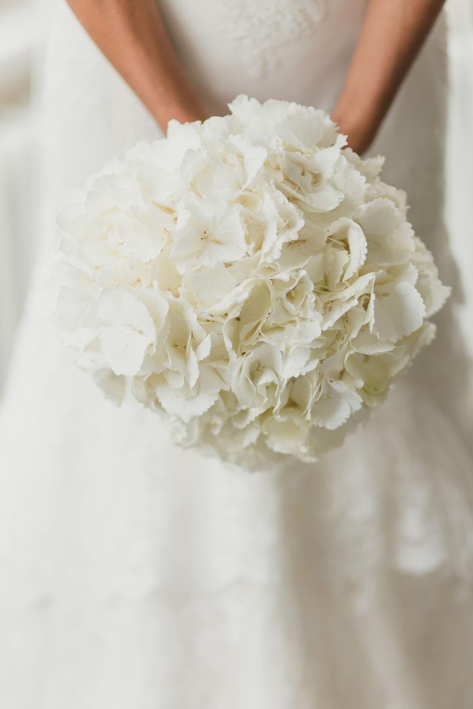 Free Image of Bride holding a white hydrangea bouquet 