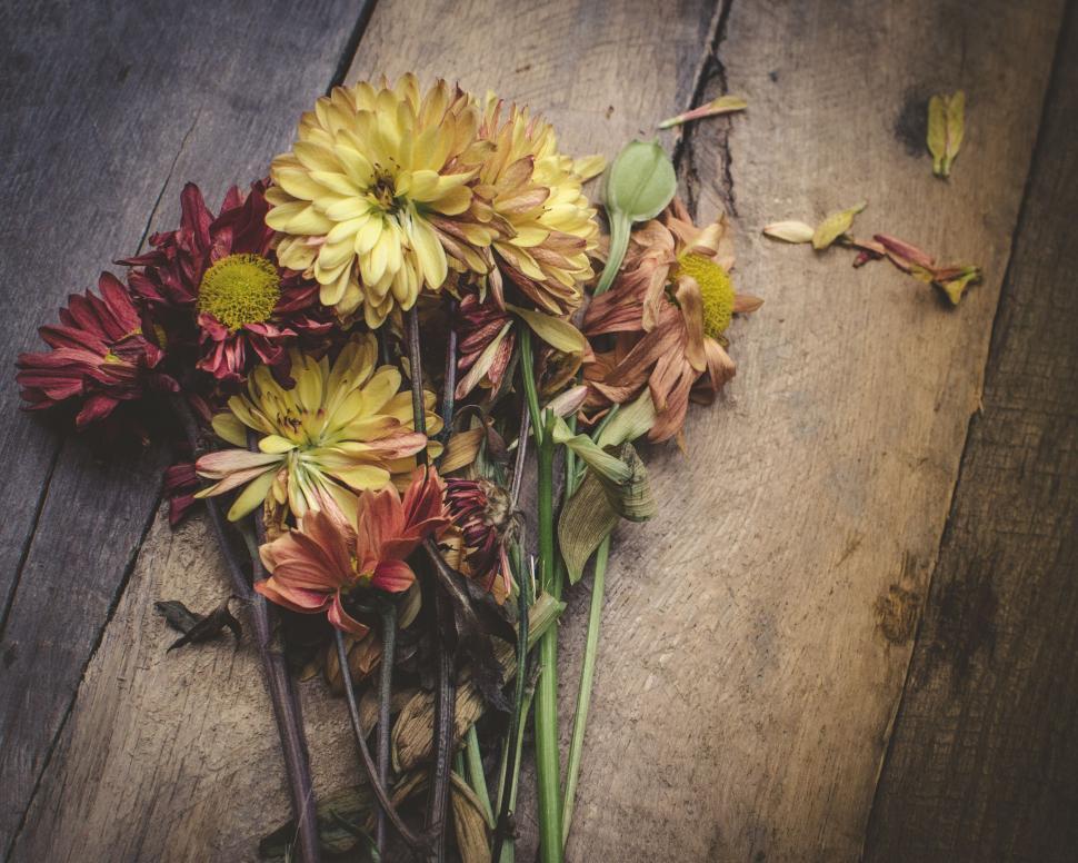 Free Image of Bouquet of withered flowers on wooden surface 