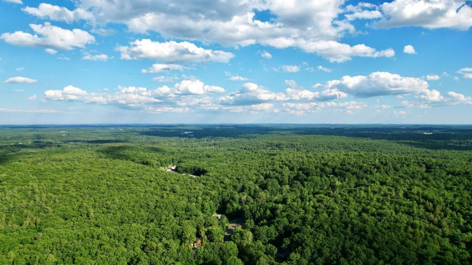 Free Image of Aerial View of Lush Green Forest 