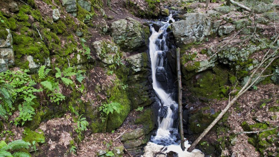 Free Image of Waterfall in a lush forest setting 
