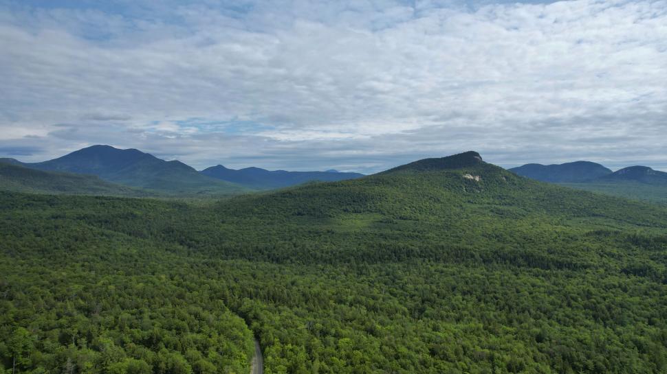 Free Image of Lush green forest with mountain backdrop 