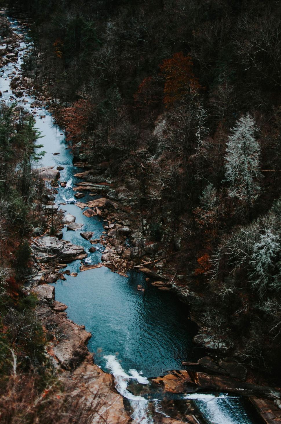 Free Image of Aerial view of a river flowing through forest 