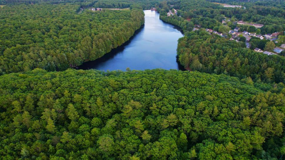 Free Image of Lush green forest surrounding a calm winding river 