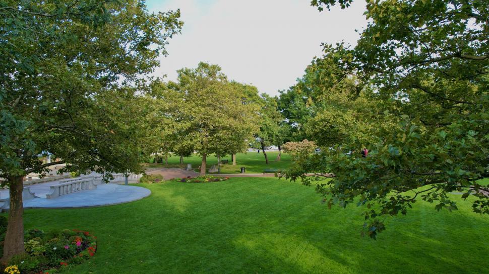 Park in Shaded Areas
