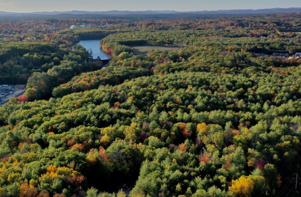 Free Image of Lush green forest view with lakes in autumn season. 