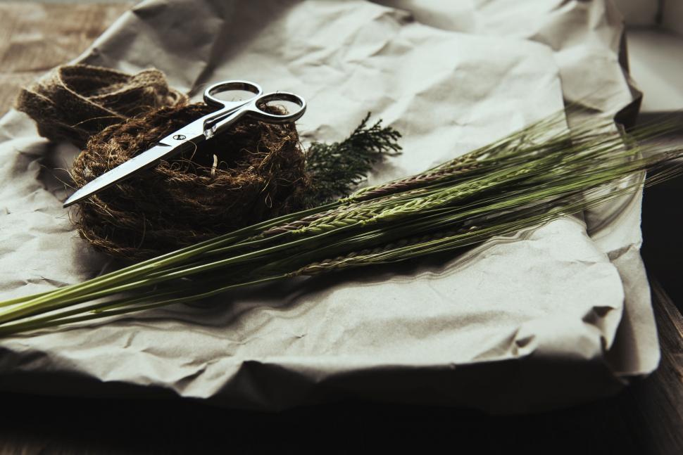 Free Image of Rustic Twine Scissors and Grain on Kraft Paper 