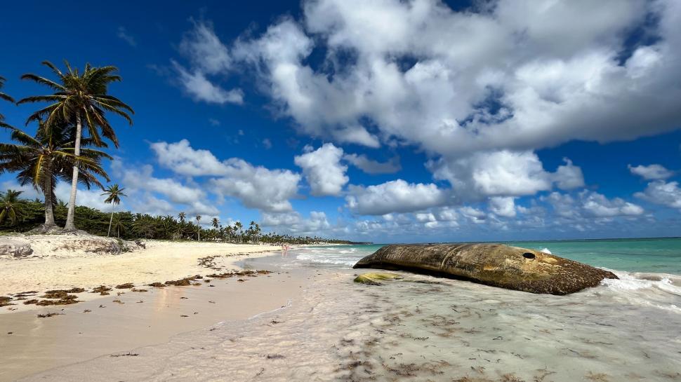 Free Image of Tropical beach with clear skies and ocean waves 