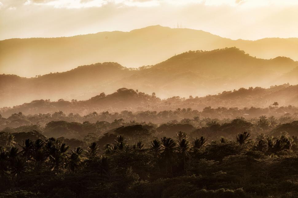 Free Image of Scenic view of foggy forest with mountains at dawn 