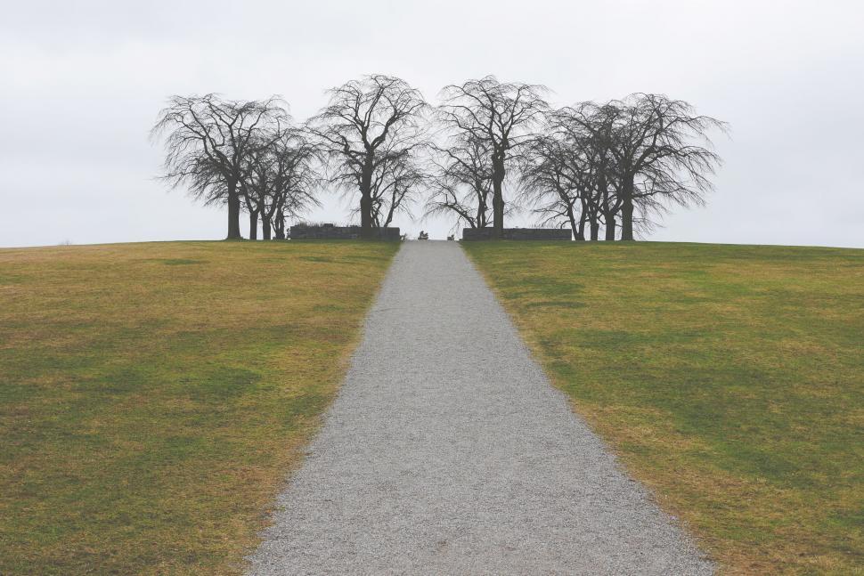 Free Image of Gravel path leading to leafless trees on a cloudy hilltop 