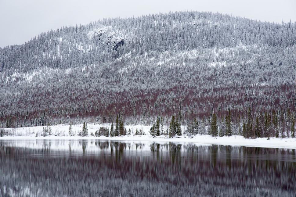 Free Image of Snow-covered landscape with fir trees and calm water 
