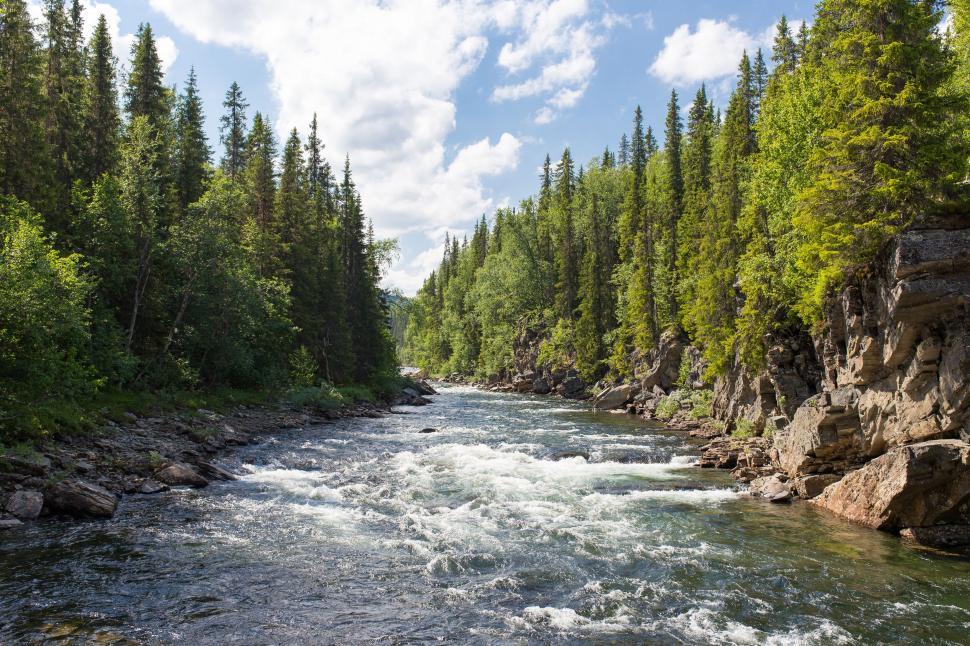 Free Image of A serene river flowing through lush green forests. 