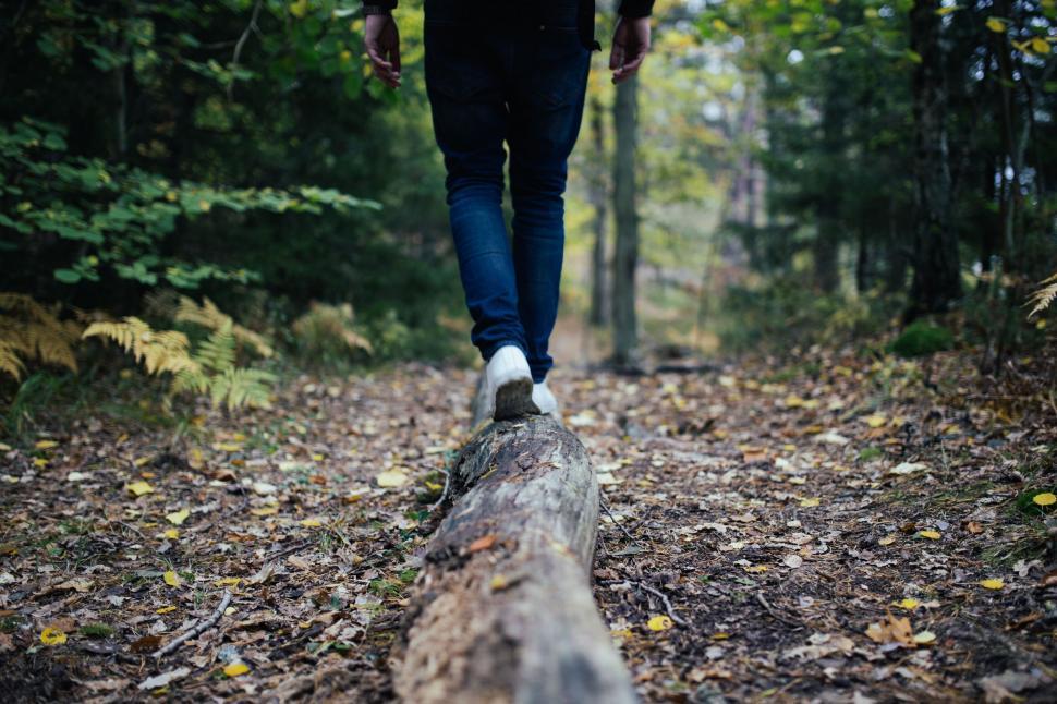 Free Image of Person walks on a fallen tree trunk in a green forest 