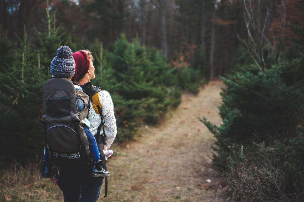 Free Image of Adult carries child in backpack while hiking in forest 