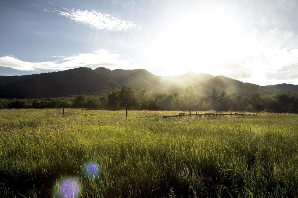 Free Image of Serene landscape of grassy meadow with mountain backdrop 