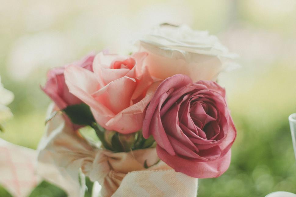 Free Image of Beautiful bouquet of pink, purple, and white roses 