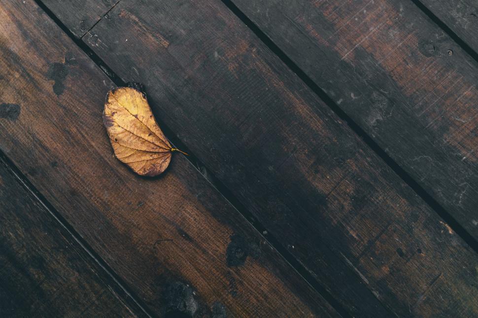 Free Image of Single yellow leaf on a dark wooden surface portrays autumn serenity 