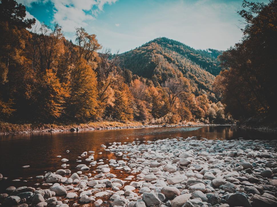 Free Image of Rocky river surrounded by autumnal trees and distant hills 