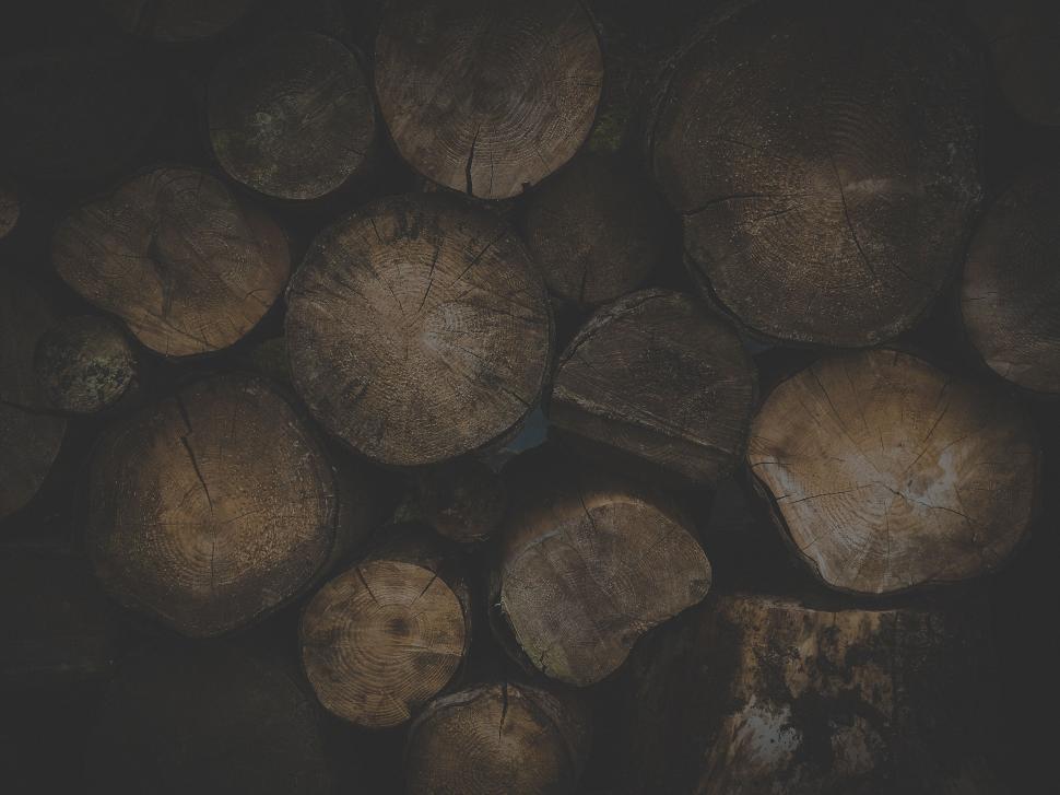 Free Image of Dark wood logs stacked in a natural outdoor setting 