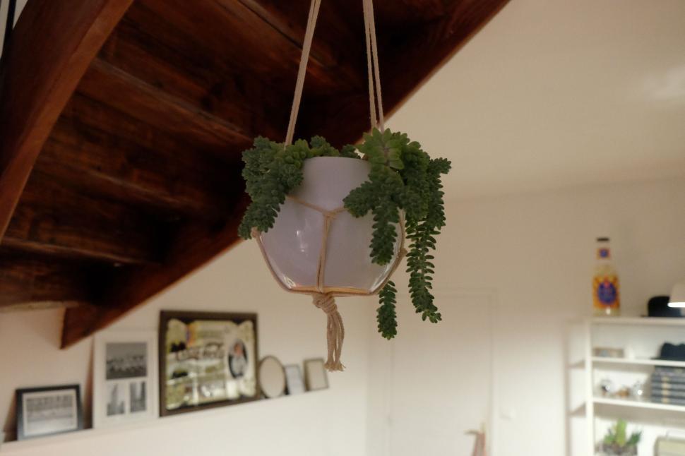 Free Image of Hanging white pot with succulents under a wooden staircase in house. 